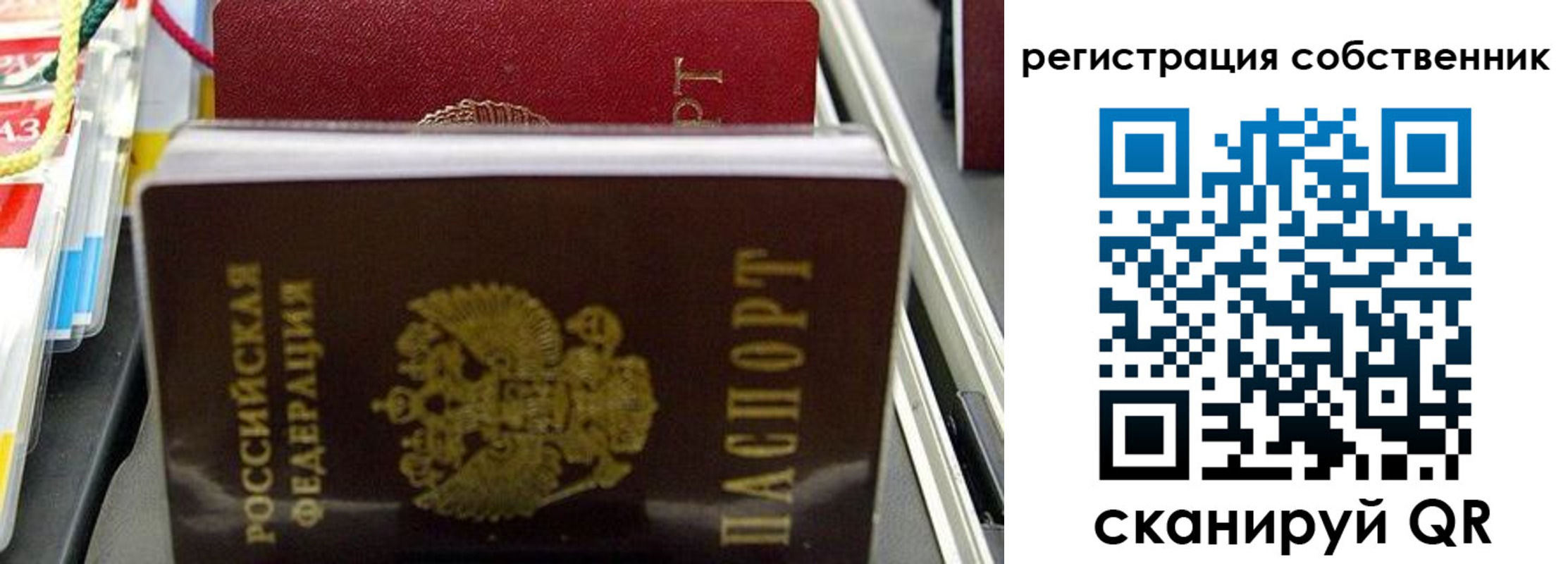 временная регистрация поиск в Новоузенске